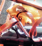 Cuisine et réceptions, votre traiteur dans l'Oise et le Val d'Oise